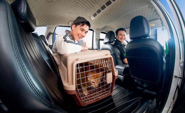 Giờ đây người dùng có thể đặt GrabCar để di chuyển cùng thú cưng