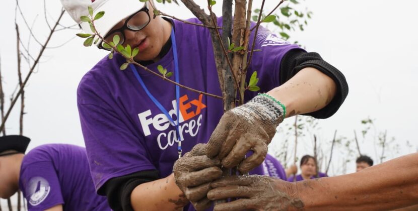 FedEx trồng cây tại TP.HCM, góp sức phục hồi rừng ngập mặn ở Vĩnh Long
